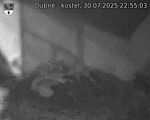 Capi_Dubne_20250730_225503.jpg