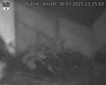 Capi_Dubne_20250730_231502.jpg