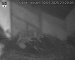 Capi_Dubne_20250730_232003.jpg