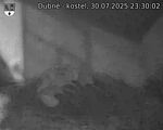 Capi_Dubne_20250730_233003.jpg