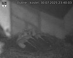 Capi_Dubne_20250730_234003.jpg
