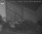 Capi_Dubne_20250731_004503.jpg