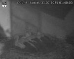 Capi_Dubne_20250731_014003.jpg