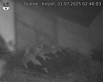 Capi_Dubne_20250731_024003.jpg