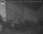 Capi_Dubne_20250731_031503.jpg
