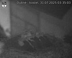 Capi_Dubne_20250731_033503.jpg