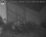 Capi_Dubne_20250731_034003.jpg