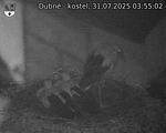 Capi_Dubne_20250731_035502.jpg