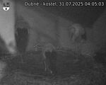 Capi_Dubne_20250731_040503.jpg