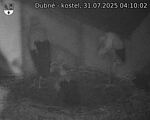 Capi_Dubne_20250731_041002.jpg