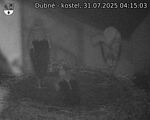 Capi_Dubne_20250731_041503.jpg