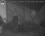 Capi_Dubne_20250731_043003.jpg
