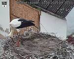 Capi_Dubne_20250731_093503.jpg