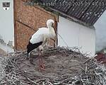 Capi_Dubne_20250731_094003.jpg