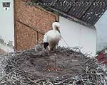 Capi_Dubne_20250731_094503.jpg