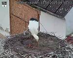 Capi_Dubne_20250731_095003.jpg