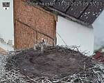 Capi_Dubne_20250731_095503.jpg