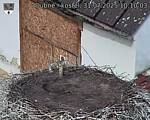 Capi_Dubne_20250731_101003.jpg