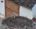 Capi_Dubne_20250731_101503.jpg