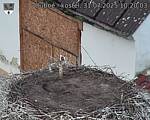 Capi_Dubne_20250731_102003.jpg