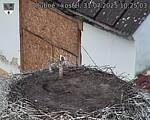 Capi_Dubne_20250731_102503.jpg