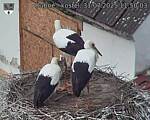 Capi_Dubne_20250731_115003.jpg