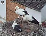 Capi_Dubne_20250731_115503.jpg