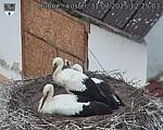 Capi_Dubne_20250731_122503.jpg