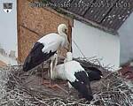 Capi_Dubne_20250731_131503.jpg