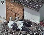 Capi_Dubne_20250731_133503.jpg