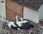 Capi_Dubne_20250731_145003.jpg
