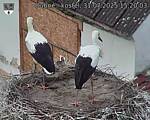 Capi_Dubne_20250731_152003.jpg