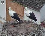 Capi_Dubne_20250731_152503.jpg