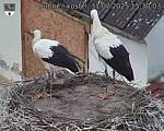Capi_Dubne_20250731_153003.jpg