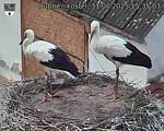 Capi_Dubne_20250731_153503.jpg