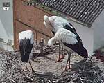 Capi_Dubne_20250731_154003.jpg