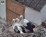 Capi_Dubne_20250731_161503.jpg