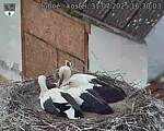 Capi_Dubne_20250731_163003.jpg