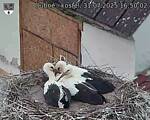 Capi_Dubne_20250731_165002.jpg