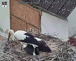 Capi_Dubne_20250731_173003.jpg