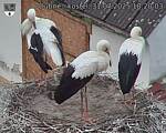 Capi_Dubne_20250731_182003.jpg