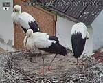 Capi_Dubne_20250731_183504.jpg