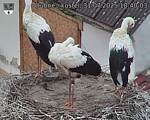 Capi_Dubne_20250731_184003.jpg