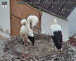 Capi_Dubne_20250731_191503.jpg