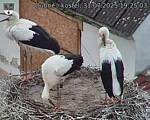 Capi_Dubne_20250731_192503.jpg