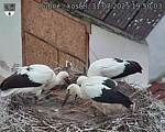 Capi_Dubne_20250731_195003.jpg