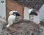 Capi_Dubne_20250731_195503.jpg