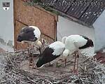Capi_Dubne_20250731_200503.jpg
