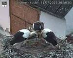 Capi_Dubne_20250731_205003.jpg