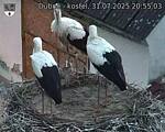 Capi_Dubne_20250731_205503.jpg